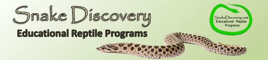 Snake Discovery