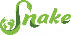 snake discovery reptile shop