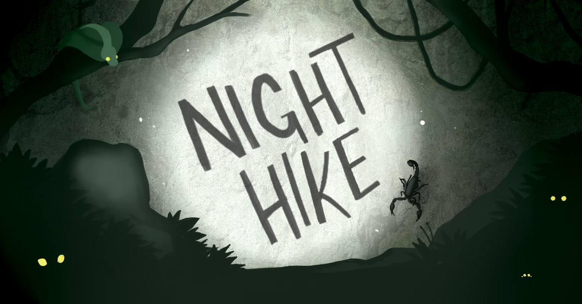 Night Hike-December 29th